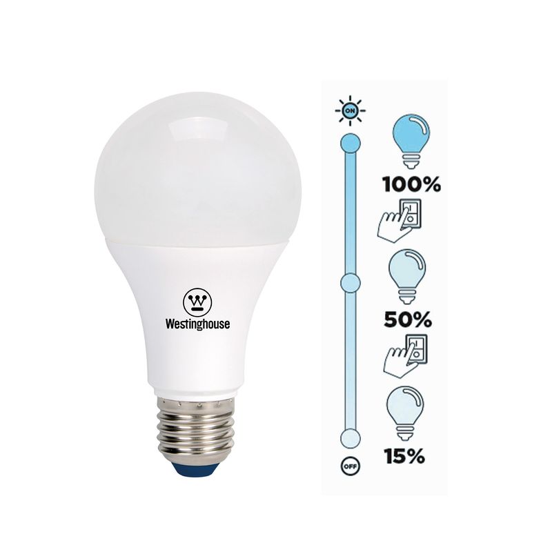 AM203006719.jpg