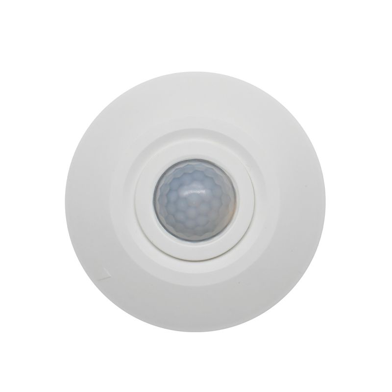 CO203009534.jpg