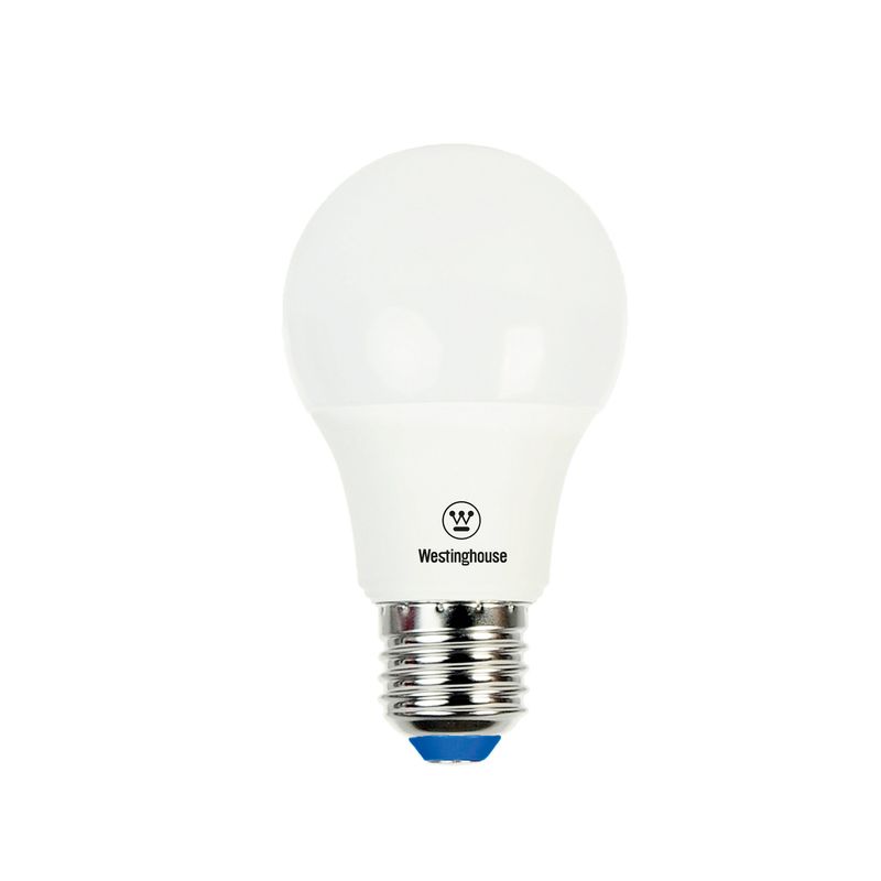 AM203008441.jpg