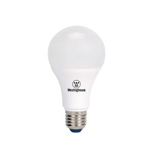 Ampolleta Led Bola A55 5W Luz Blanco Frío E27