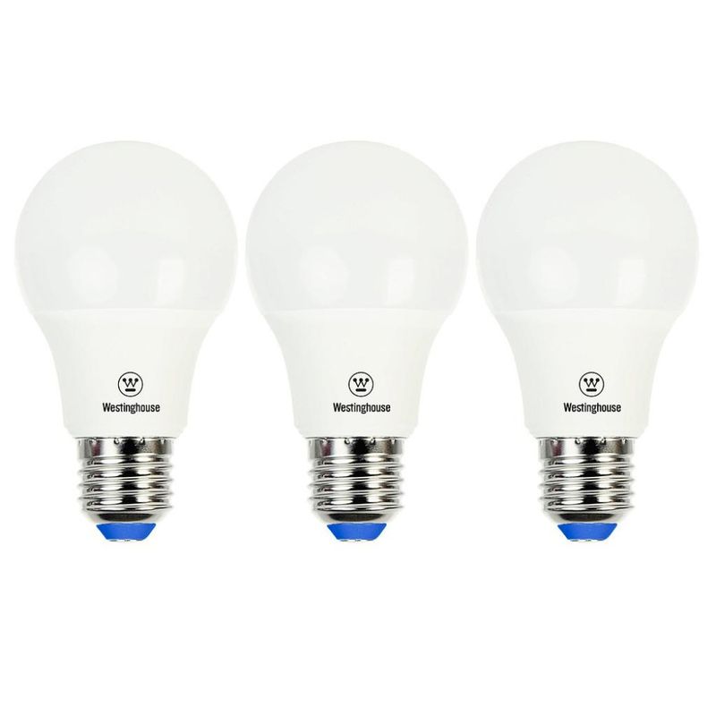 AM203008446.jpg