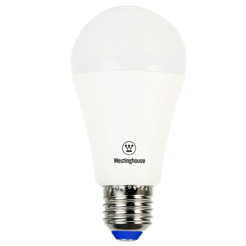 AM203008445.jpg