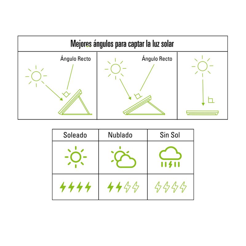 CO203009065_2.jpg