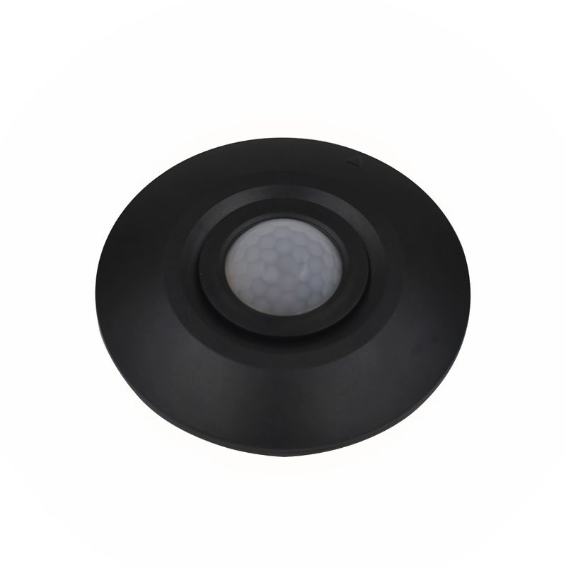 CO203009535.jpg