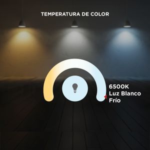 Ampolleta LED Bola A60 Dimeable 10W Luz Blanco Frío E27
